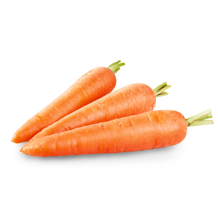 17395Carrot.png