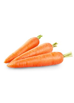17395Carrot.png