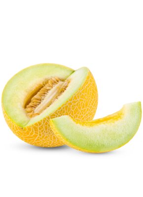 galia melon.png