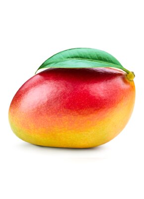 6653mango.png