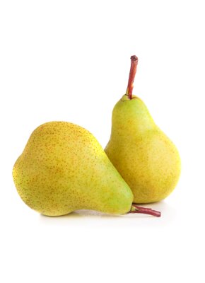 pear.jpg
